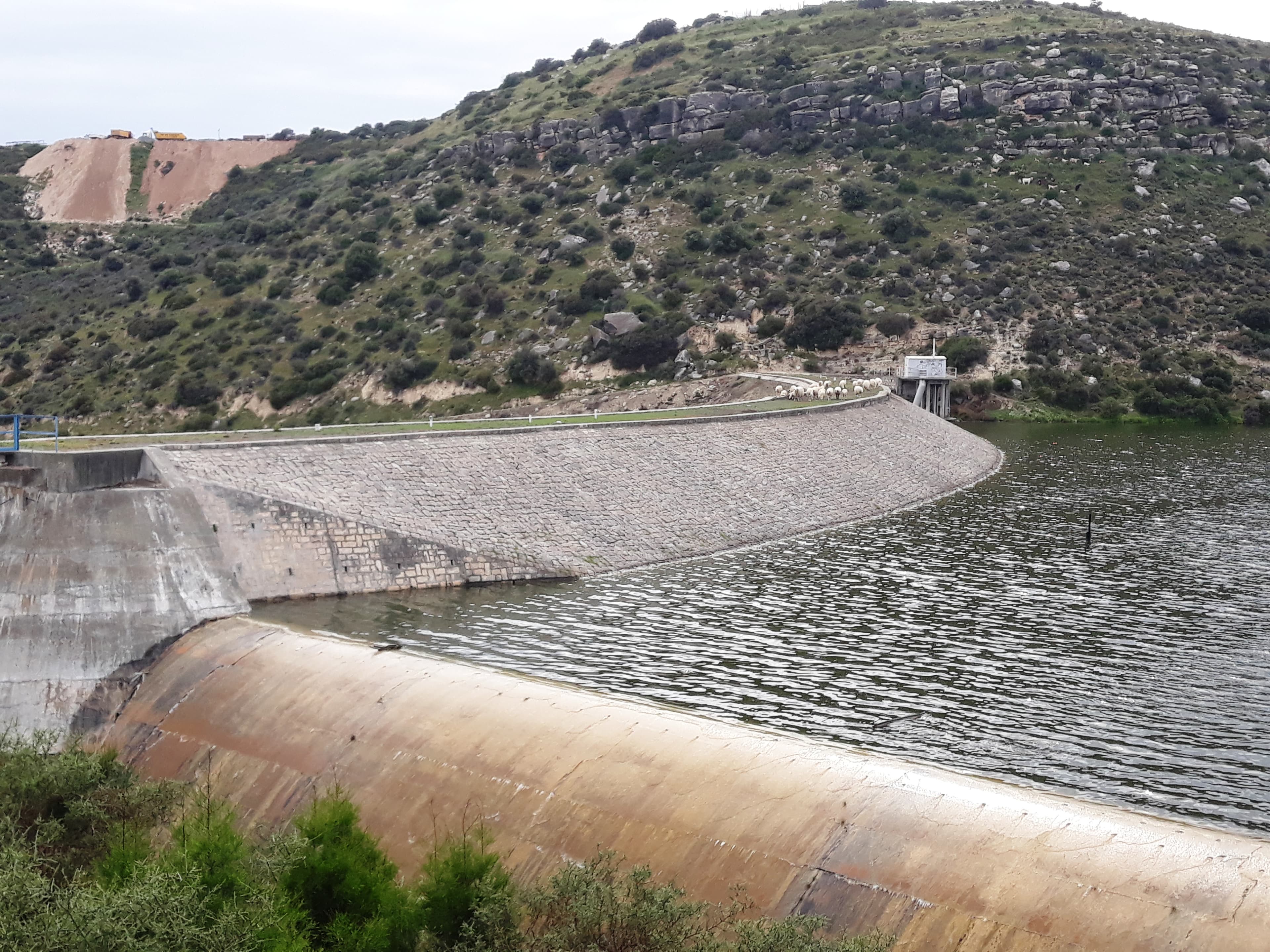 Polemidia Reservoir, Lemesos